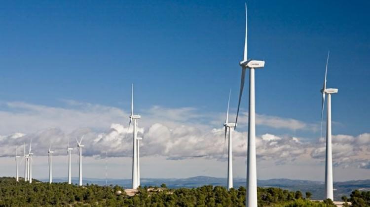 AB'de elektriğin yüzde 10'u rüzgardan AB'de elektriğin yüzde 10'u rüzgardan