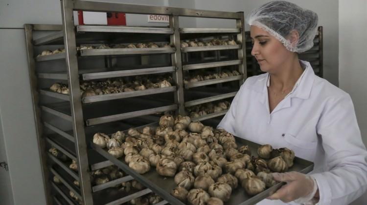 4 liraya alıyor 20 gün sonra 150 liraya satıyor 4 liraya alıyor 20 gün sonra 150 liraya satıyor