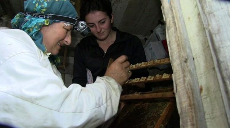 Ana kız kraliçe yetiştiriyor Ana kız kraliçe yetiştiriyor