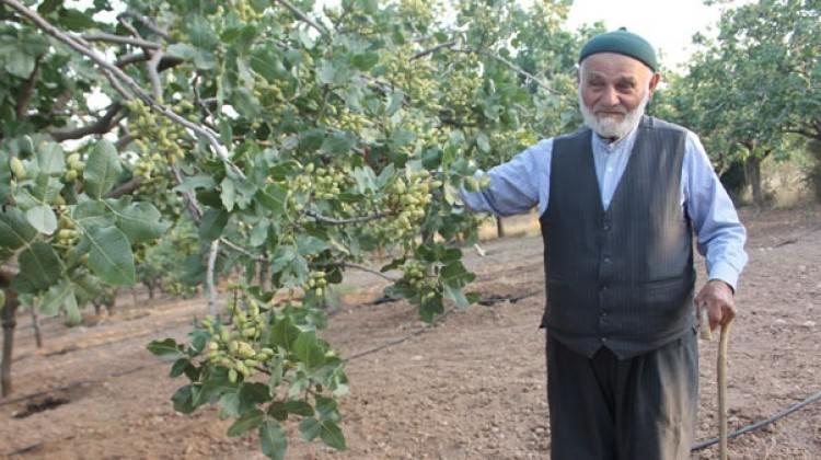 Baba sözünü dinledi, her yıl altın alıyor Baba sözünü dinledi, her yıl altın alıyor