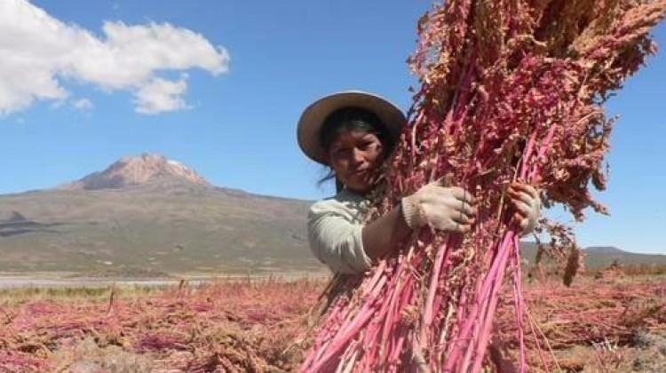 Bin bebekten 8inin kalbi hasta doğuyor 58